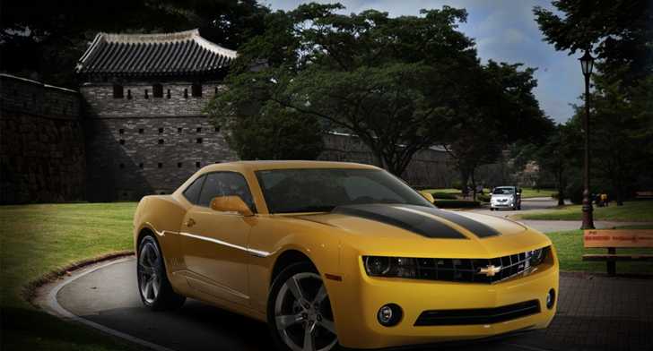2010 HOLDEN