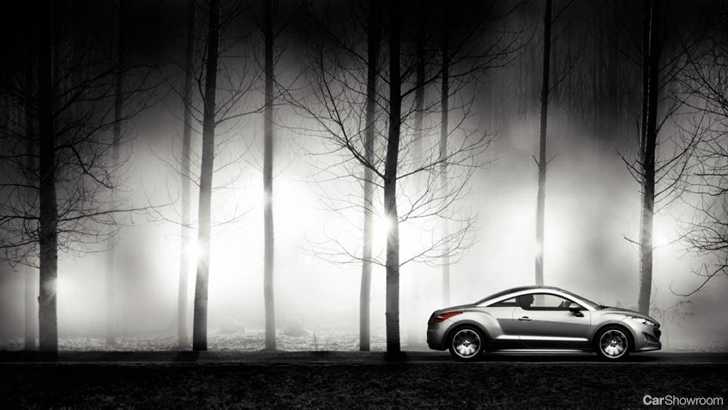 2010 PEUGEOT