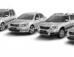 2010 SKODA