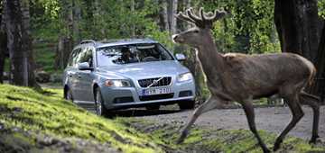 2011 VOLVO