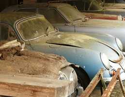 The Baillon Collection