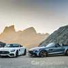 Mercedes-AMG GT, GT C Roadster Revealed Before Paris