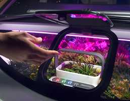 Rinspeed Oasis: Autonomous, Pre-Soiled, And Mad