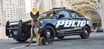 2017 Ford Fusion - Police Responder Hybrid