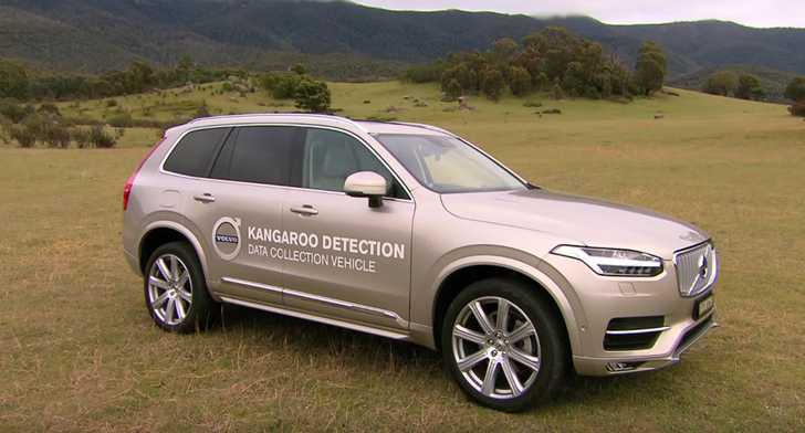 Kangaroos Continue To Confuse Volvo