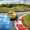 Steering Wheels Under Threat, Porsche To Hold The Line