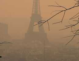 Volkswagen Apologises For Diesel Fume Test On Monkeys