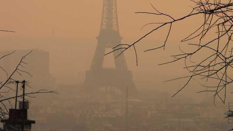 Volkswagen Apologises For Diesel Fume Test On Monkeys