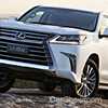 Lexus’ Local Sales Hampered By Stock Shortage
– Gallery