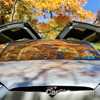 2018 Tesla Motors - Various