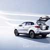 2019 Borgward BXi7