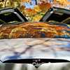 Tesla Disables Features On A Salvaged Car, Leaving Family Stranded – Gallery