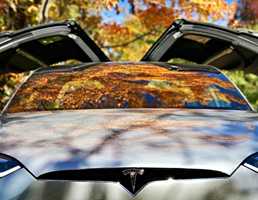 Tesla Disables Features On A Salvaged Car, Leaving Family Stranded – Gallery