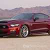 Ford Teases 2020 Mustang GT500, Blue Collar Murderer