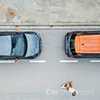 Volkswagen AG To Target Seat Against Alfa Romeo, Again – Gallery