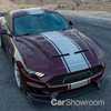 Mustang Shelby GT500 Leaks Ahead Of Detroit Debut