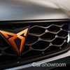 Cupra Hints At Its First Unique Model – Gallery