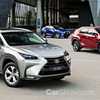 Lexus Updates ’19 NX Range With Greater Safety – Gallery