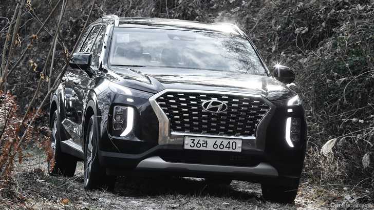 Hyundai AU May Field 8-Seat Telluride Circa 2020
