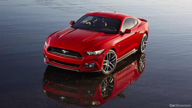 2013 FORD