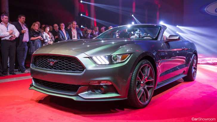 2013 FORD