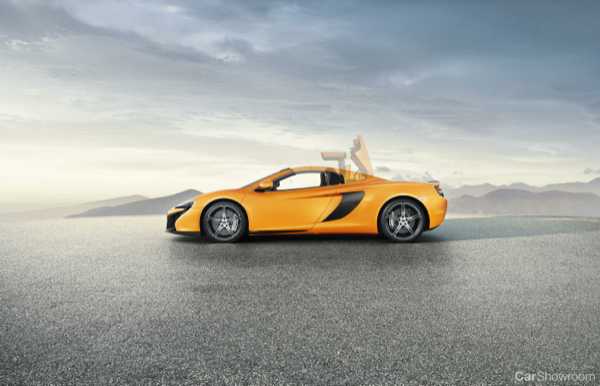 2014 MCLAREN